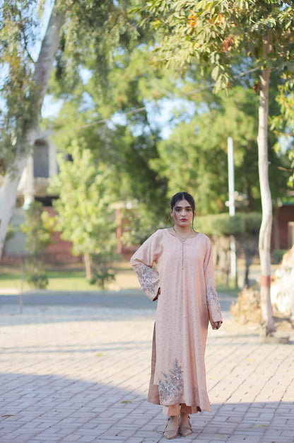 Aurora Peach Aura 2PC Embroidered Cotton Silk Suit – VLZ – 0100