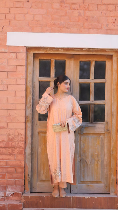 Aurora Peach Aura 2PC Embroidered Cotton Silk Suit – VLZ – 0100