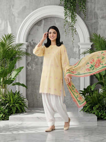 Sol Pastel Yellow 3PC Chikankari Lawn Suit – VLZ – 0080
