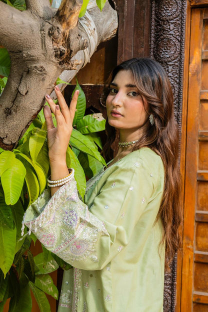 Riqueza Sage Green 2PC Embroidered Lawn Pret – VLZ-0067