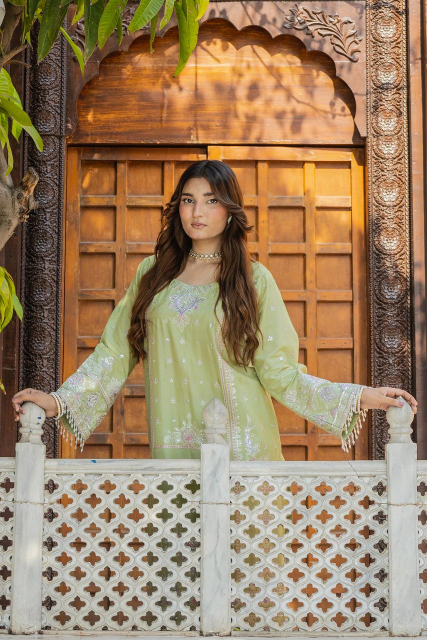 Riqueza Sage Green 2PC Embroidered Lawn Pret – VLZ-0067