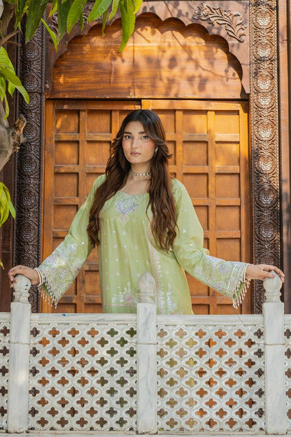 Riqueza Sage Green 2PC Embroidered Lawn Pret – VLZ-0067