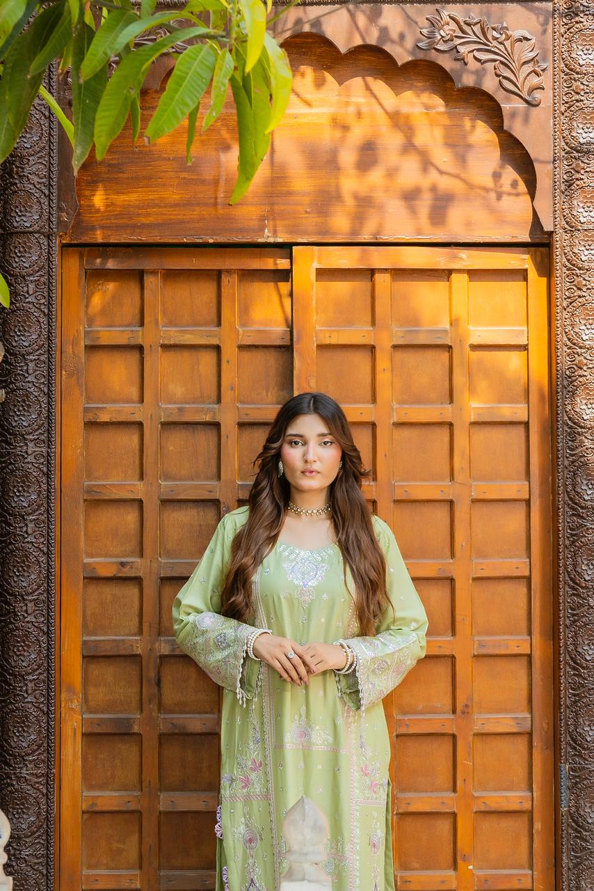 Riqueza Sage Green 2PC Embroidered Lawn Pret – VLZ-0067